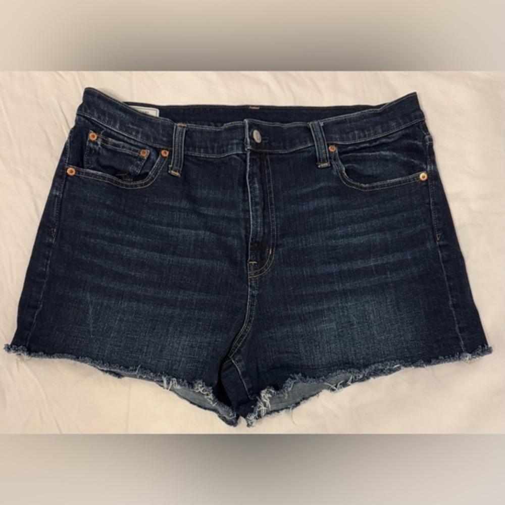 EUC Women’s GAP Shorts (34)